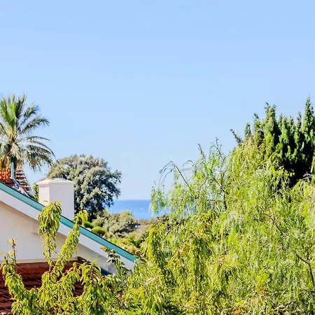 Bright A-c With Sea View - *